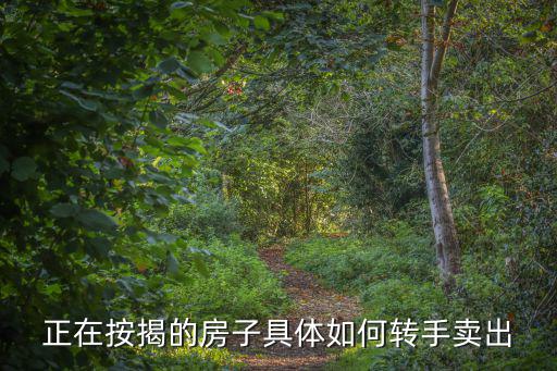 正在按揭的房子怎么賣，正在按揭的房子怎么賣