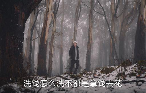 洗錢怎么洗不都是拿錢去花