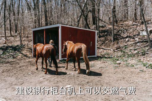怎么在建行交天然氣，建設(shè)銀行柜臺(tái)機(jī)上可以交燃?xì)赓M(fèi)
