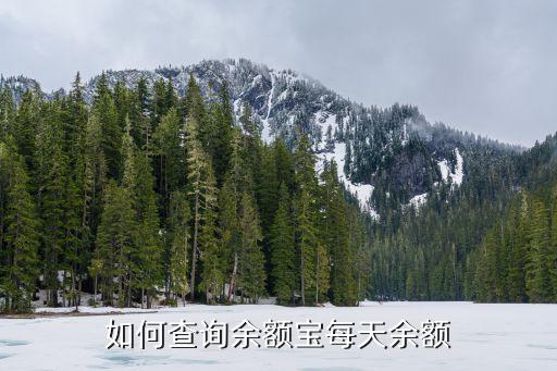 余額寶手機怎么看，如何查詢余額寶每天余額