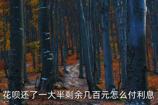 花唄還了一大半剩余幾百元怎么付利息