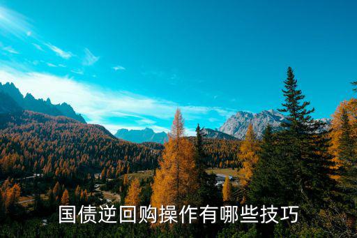 國債逆回購操作有哪些技巧