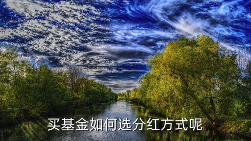 買基金如何選分紅方式呢