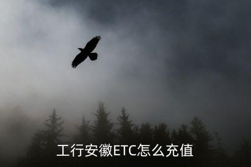 工行自助繳費(fèi)怎么充ETC，如何充值工行e卡