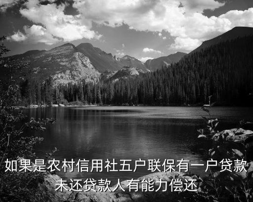 如果是農(nóng)村信用社五戶聯(lián)保有一戶貸款未還貸款人有能力償還