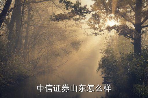 中信證券山東怎么樣，中信證券山東與國(guó)信證券哪家好