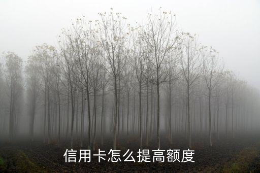 信用卡怎么提高額度