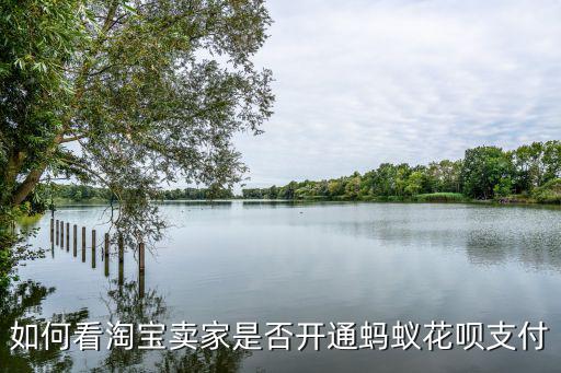 怎么看淘寶商家花唄，如何看淘寶賣(mài)家是否開(kāi)通螞蟻花唄支付