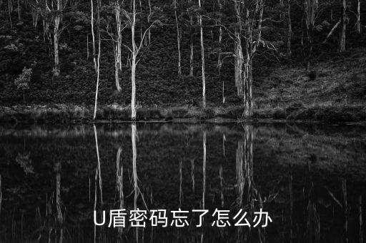 u盾開(kāi)機(jī)密碼忘了怎么辦，U盾密碼忘了怎么辦