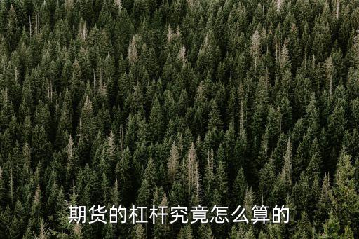 期貨杠桿怎么計(jì)算收益，商品期貨的杠杠是怎么計(jì)算出來的
