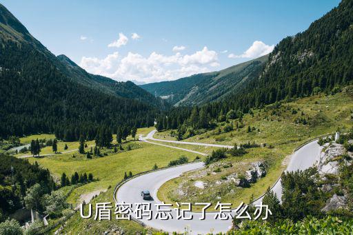 農(nóng)行u盾開機密碼忘了怎么辦，U盾忘記了密碼怎么辦