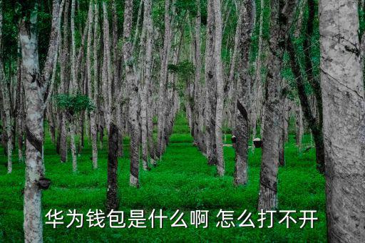 華為錢包是什么啊 怎么打不開