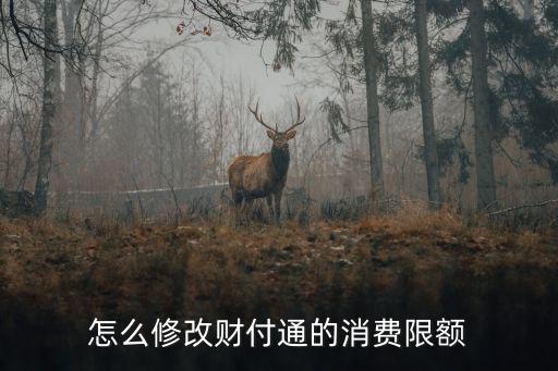 財(cái)付通怎么設(shè)置交易限額，如何修改財(cái)付通銀行卡支付限額