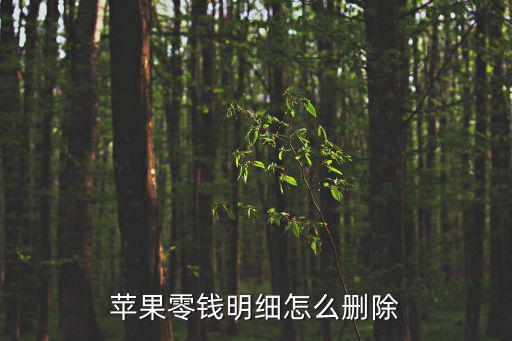 蘋果零錢明細(xì)怎么刪除
