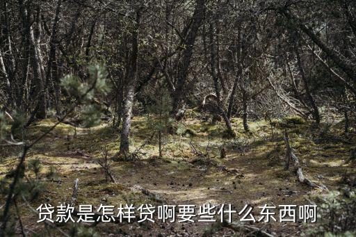 貸款是怎樣貸啊要些什么東西啊