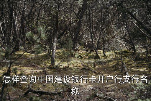 怎樣查詢中國建設(shè)銀行卡開戶行支行名稱