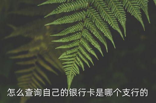 怎么查詢自己的銀行卡是哪個支行的