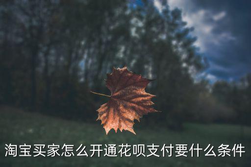淘寶買家怎么開通花唄支付要什么條件