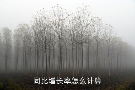 同比增長率怎么計(jì)算