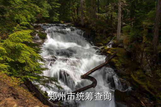 怎么打統(tǒng)籌單，事業(yè)單位是如何交養(yǎng)老統(tǒng)籌的我今年剛上班去年畢業(yè)的人事局叫