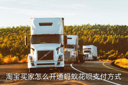 淘寶買家怎么開通螞蟻花唄支付方式