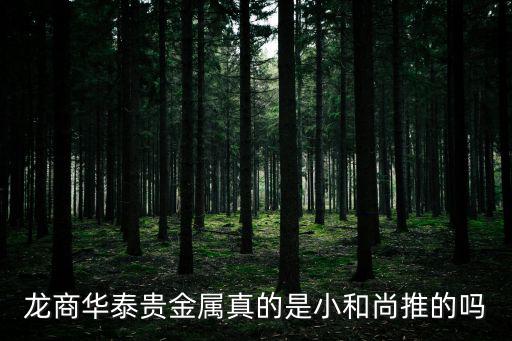 龍商華泰貴金屬真的是小和尚推的嗎