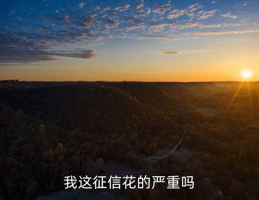 我這征信花的嚴(yán)重嗎