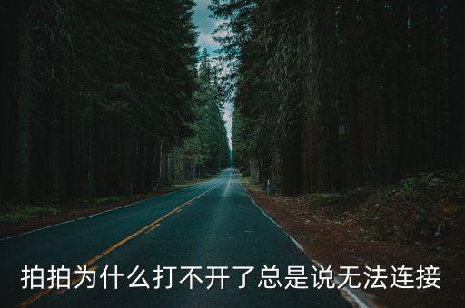 拍拍為什么打不開(kāi)了總是說(shuō)無(wú)法連接