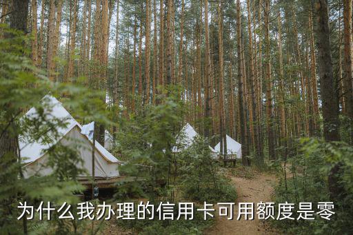 為什么我辦理的信用卡可用額度是零