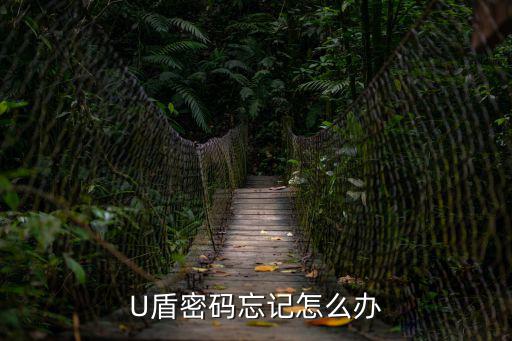 U盾密碼忘記怎么辦