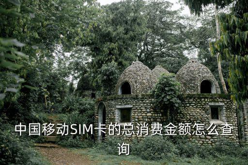 中國移動SIM卡的總消費金額怎么查詢
