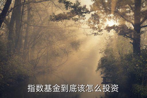 股票指數(shù)怎么投資，如何進行指數(shù)投資