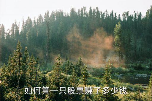 股票賺怎么算，股票怎么算賺了多少
