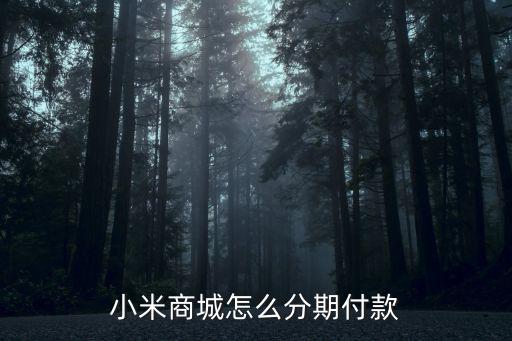 小米商城怎么分期付款