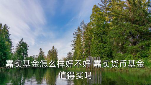 嘉實(shí)貨幣基金怎么樣，嘉實(shí)貨幣基金好么