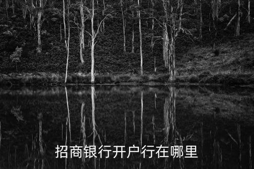 招商銀行卡怎么開戶行，招商銀行如何在網(wǎng)上銀行上查詢開戶行
