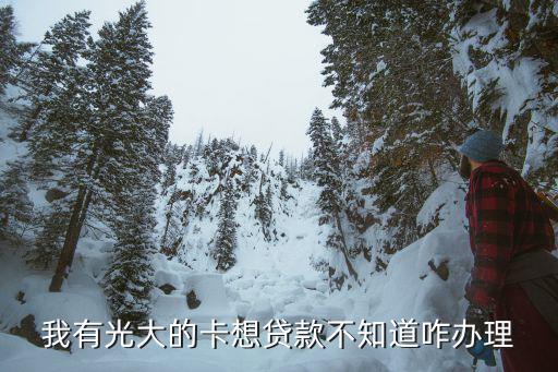 光大樂迷卡怎么貸款，我有光大的卡想貸款不知道咋辦理