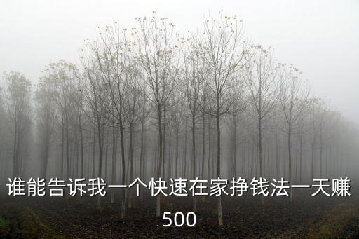 誰能告訴我一個(gè)快速在家掙錢法一天賺500