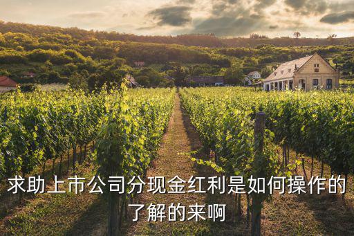 求助上市公司分現(xiàn)金紅利是如何操作的了解的來啊