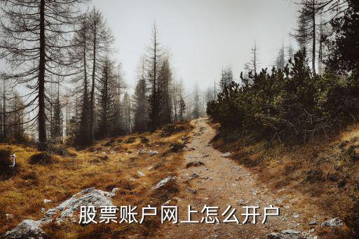 股票賬戶網(wǎng)上怎么開戶