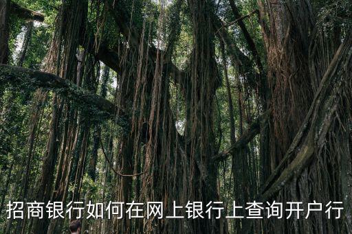 招商銀行如何在網(wǎng)上銀行上查詢開(kāi)戶行