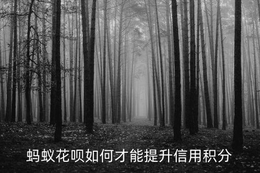 花唄信用分怎么提高，螞蟻花唄如何才能提升信用積分