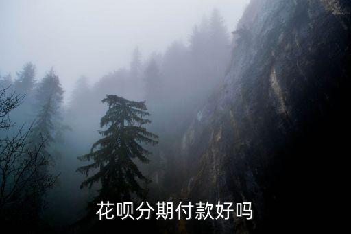 花唄分期分期怎么樣，螞蟻花唄分期好嘛合算嗎求解