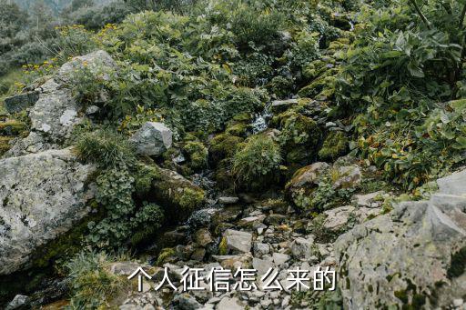 個人征信怎么來的