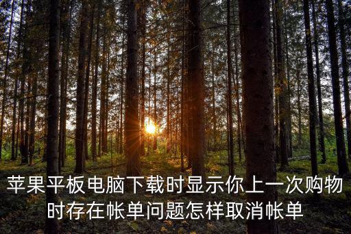 蘋果平板電腦下載時顯示你上一次購物時存在帳單問題怎樣取消帳單