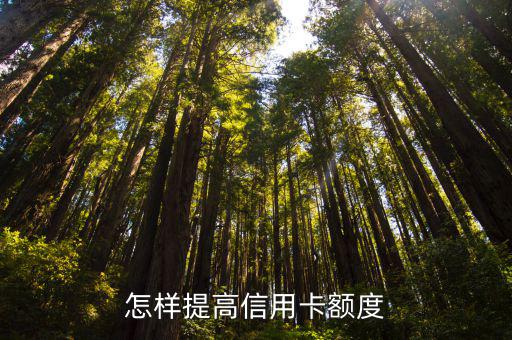 怎樣提高信用卡額度