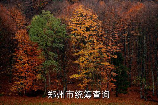 鄭州市統(tǒng)籌查詢