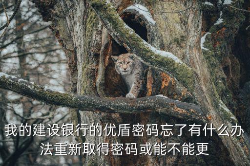 我的建設銀行的優(yōu)盾密碼忘了有什么辦法重新取得密碼或能不能更