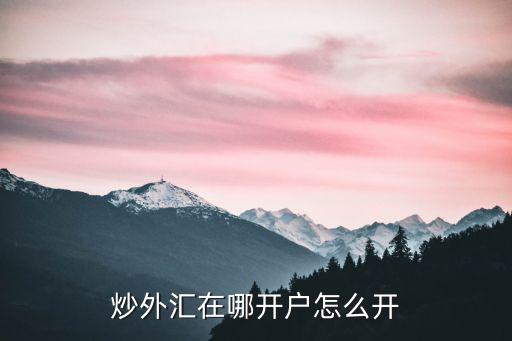 炒外匯怎么開(kāi)戶，我想炒外匯怎么開(kāi)戶外匯開(kāi)戶步驟