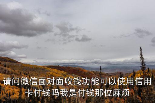 請問微信面對面收錢功能可以使用信用卡付錢嗎我是付錢那位麻煩